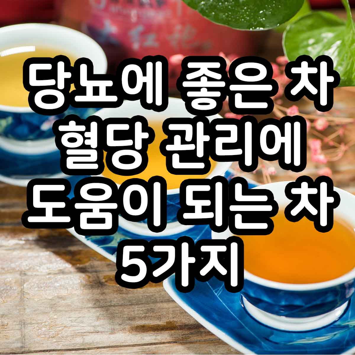 당뇨에 좋은 차, 혈당 관리에 도움이 되는 차 5가지