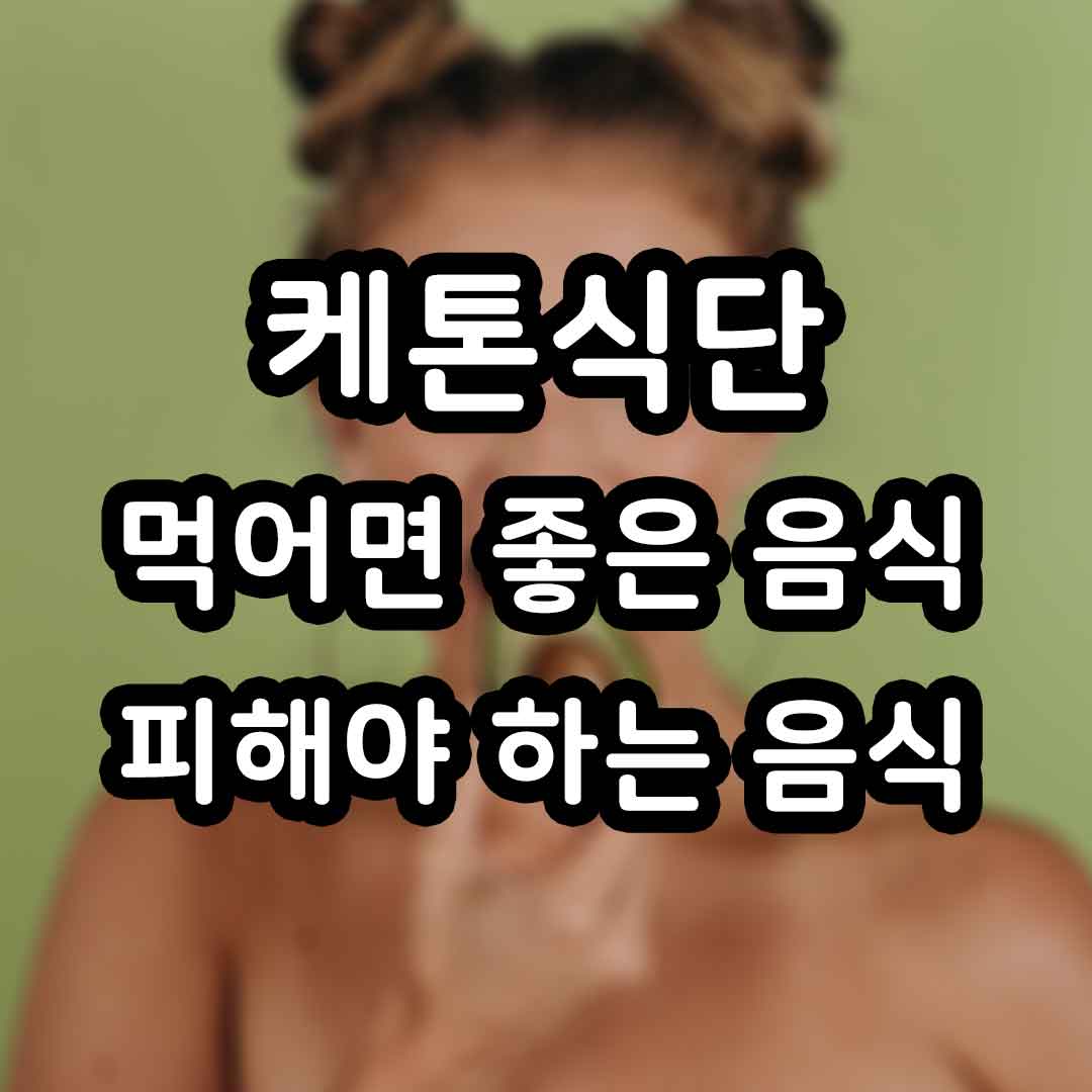 케톤식단 저탄고지 키토 키토제닉식단