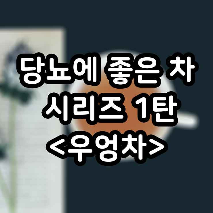 우엉차 당뇨에 좋은 차 시리즈 1탄 효능,부작용,만들기 썸네일