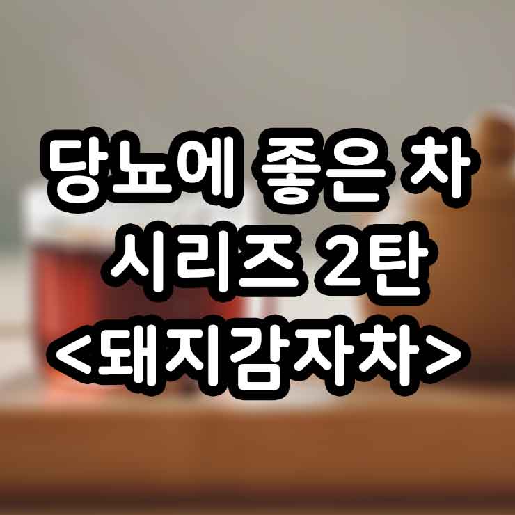 돼지감자차 당뇨에 좋은 차 시리즈 2탄 효능 부작용 만들기 썸네일