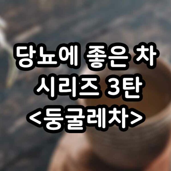 둥굴레차 당뇨에 좋은 차 시리즈 3탄 효능 부작용 만드는 법 썸네일