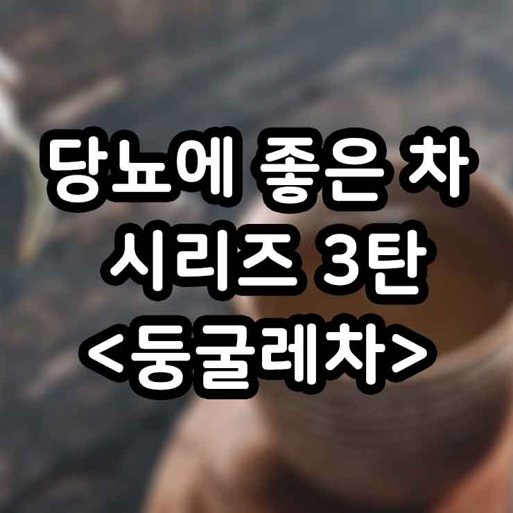 둥굴레차 당뇨에 좋은 차 시리즈 3탄 효능 부작용 만드는 법 썸네일