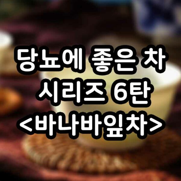 바나바잎차 당뇨에 좋은 차 썸네일