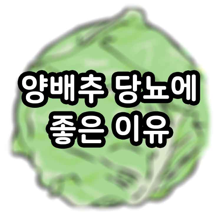 양배추 당뇨에 좋은 이유와 부작용 썸네일