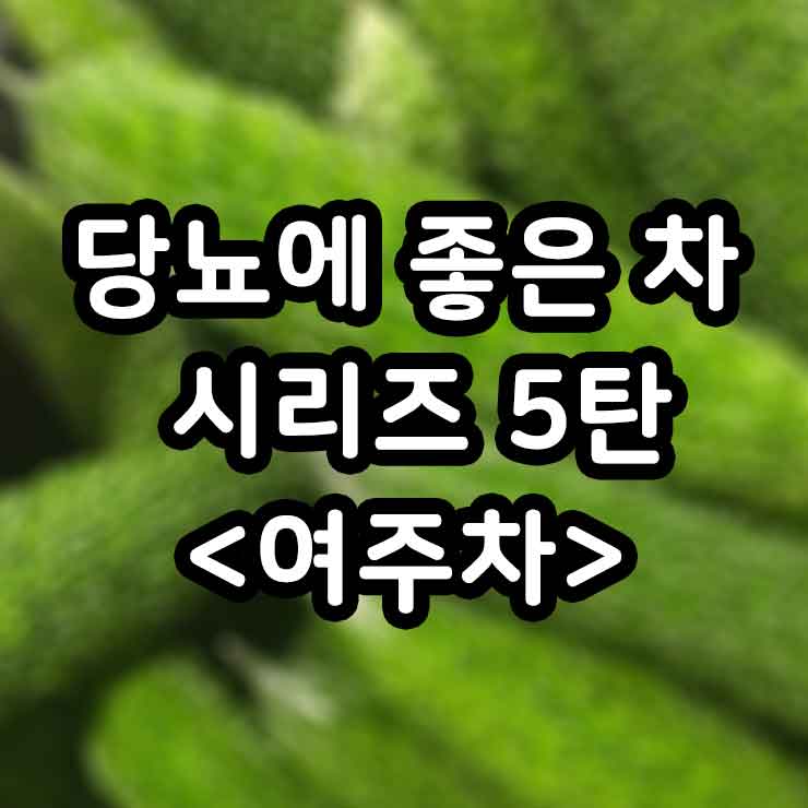 여주차 효능 당뇨에 좋은 차 부작용 만들기 썸네일