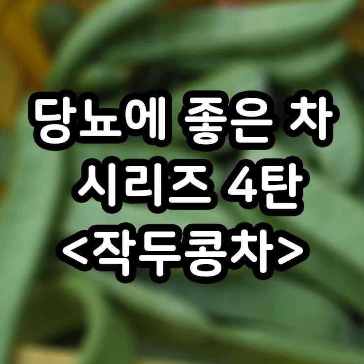 작두콩차 효능 당뇨에 좋은 차 부작용 만들기 썸네일