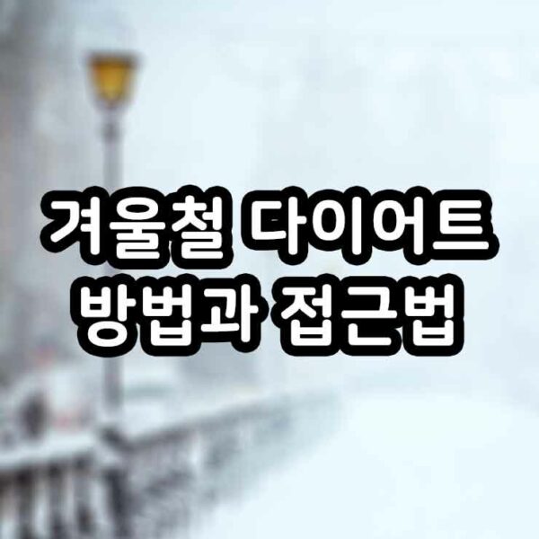 겨울철 다이어트 방법과 접근법
